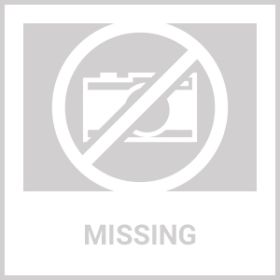 PetSafe Deluxe Ultralight Collar (REFURB)   PUL 275 R